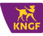 Logo klant succeedIT KNGF Microsoft Dynamics 365 Business Central