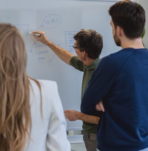 Business Central Cloud ERP
