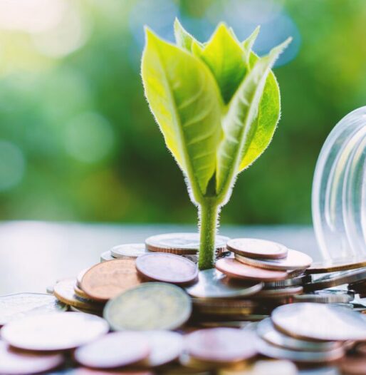 Continia Sustainability